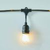 Gardens 12-Count 24FT Rope Lights Edison Bulbs Outdoor String Lights
